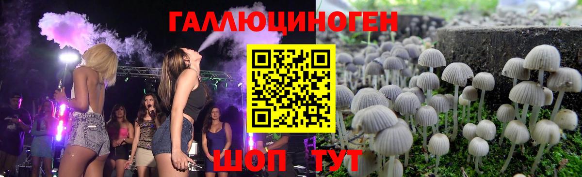 Галлюциногенные грибы MAGIC MUSHROOMS  Вход с VPN  Красноармейск 